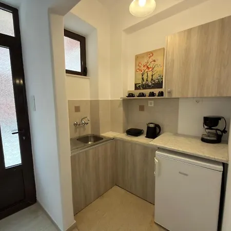 Alex Studios-2