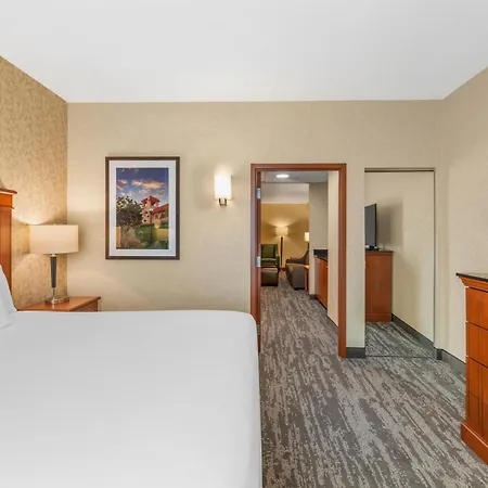 Drury Plaza Hotel St Louis Brentwood-2