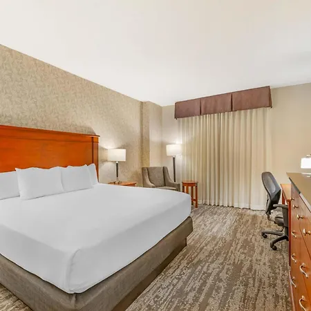 Drury Plaza Hotel St Louis Brentwood-3