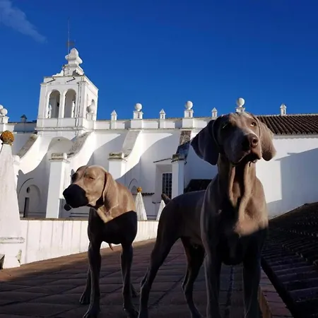 Convento do Espinheiro, Historic Hotel&Spa-3