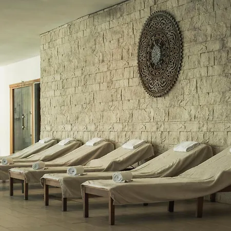 Hotel Sun Palace Albir&Spa-3