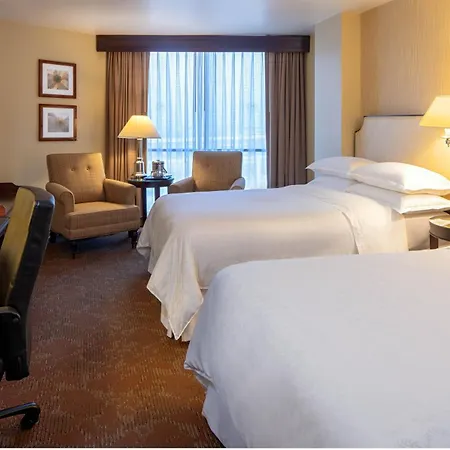 Sheraton Houston Brookhollow Hotel-3
