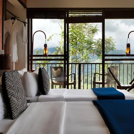Madulkelle Tea And Eco Lodge-3