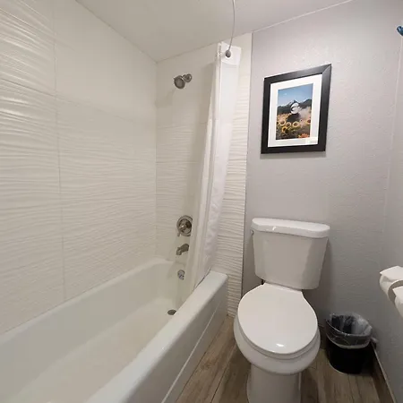 Comfort Inn & Suites Denver West - Golden-3