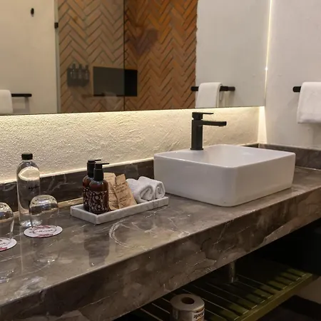Esplendor by Wyndham San Luis Potosi Monarca-2