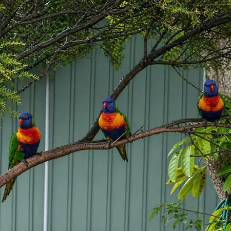 Batemans Bay Holiday Park & Hostel-3