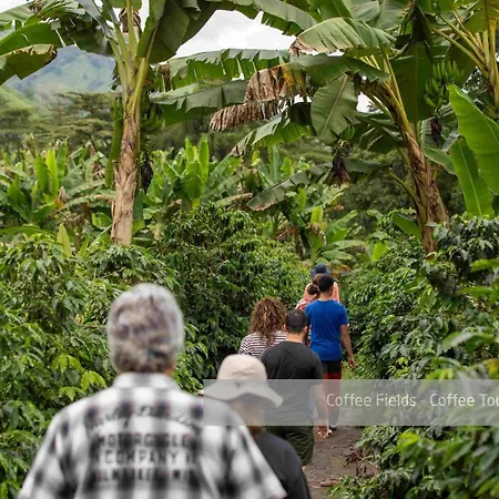 Hacienda Venecia Coffee Farm Hotel-3