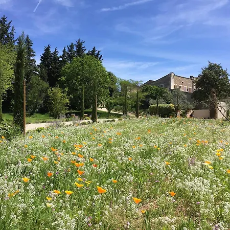 Domaine Les Martins - Gordes-3