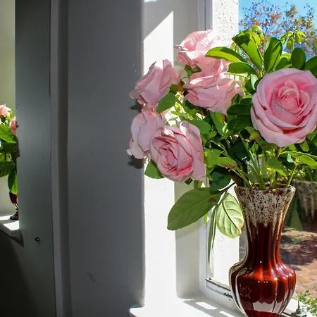 Oak Manor Boutique Guest House-2