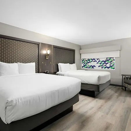 Verta Hotel Mcallen-2