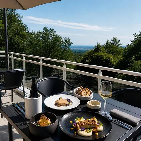 Hotel Spa Restaurant Husseren Collections - Proche Colmar - Eguisheim-3