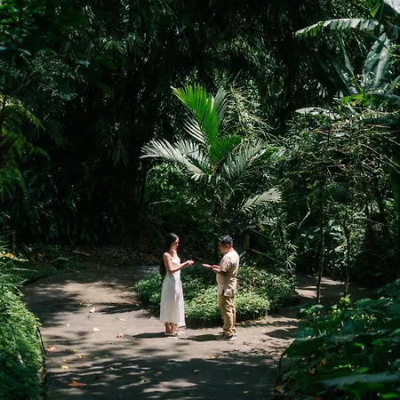 Munduk Moding Plantation Nature Resort-2