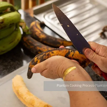 Hacienda Venecia Coffee Farm Hotel-2