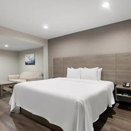 Quality Suites Wildwood - The Villages-2