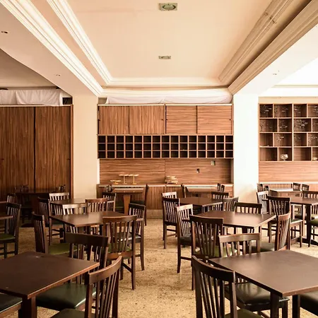 Alzira Park Hotel Ltda-3
