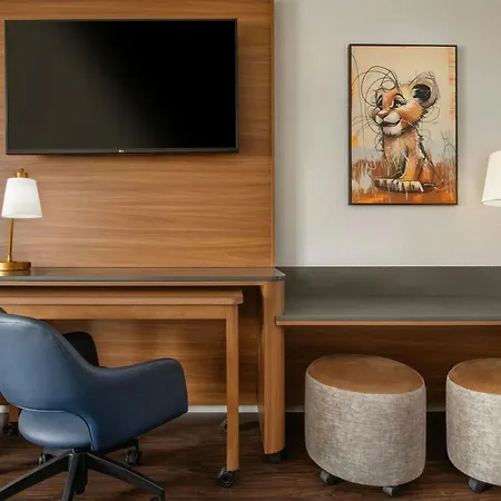 Fairfield By Marriott Anaheim Resort-2