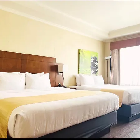 Hotel & Suites Le Dauphin Drummondville-3
