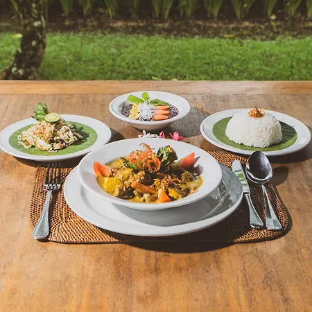 Alpin Resort And Villa Ubud-3