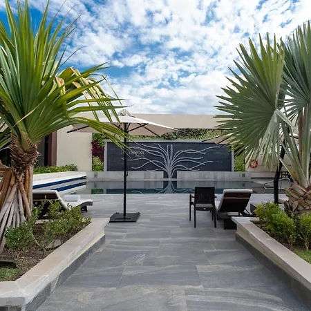 Hs Hotsson Hotel Irapuato-2