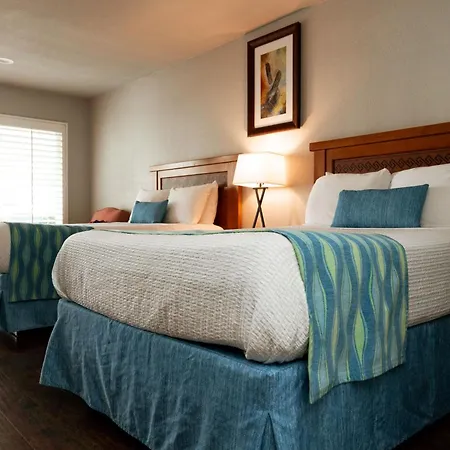 Alamo Inn And Suites - Convention Center-3