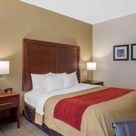 Comfort Inn Chester - Richmond South-2