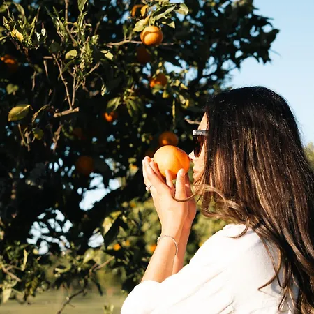 Quinta Da Luz - A Luxury Boutique B&B-2
