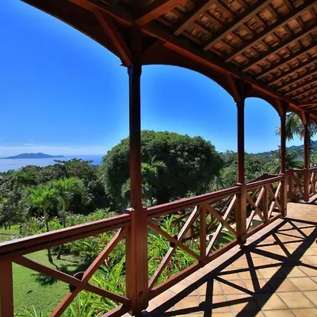 Jardin Malanga-3
