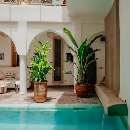 Riad Jardin Des Rêves-2