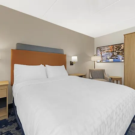 Best Western Plus Willmar-3