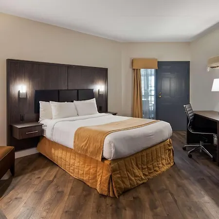 Best Western Laval-Montreal&Conference Centre-3