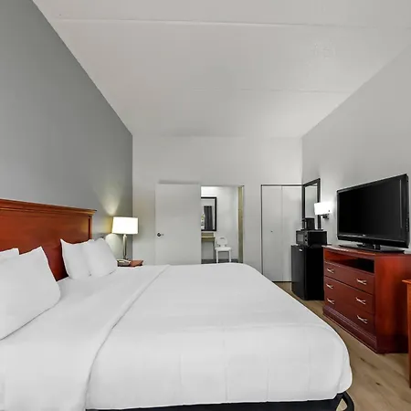 Quality Inn Weeki Wachee - Spring Hill-3