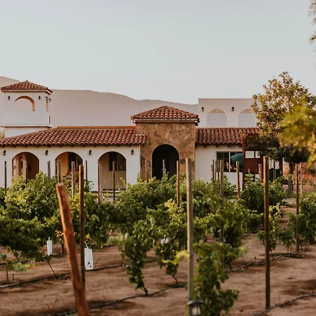 Hacienda Los Olivos, Valle De Guadalupe-3