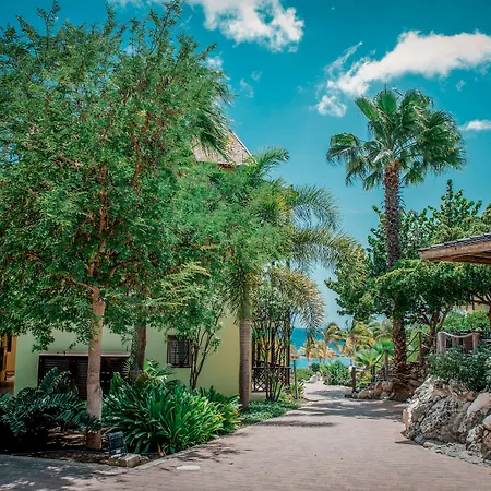 Lionsdive Beach Resort-3