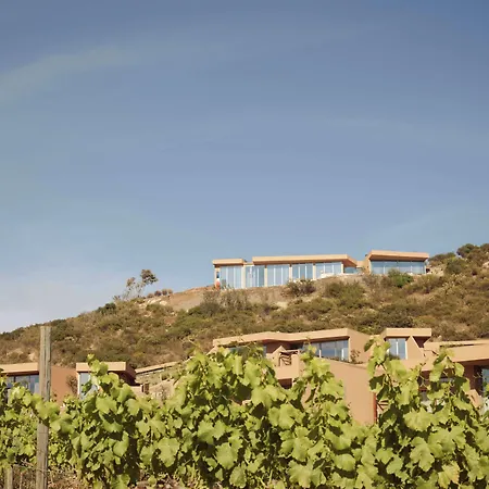 Banyan Tree Veya, Valle De Guadalupe-2
