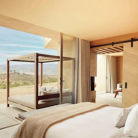 Banyan Tree Veya, Valle De Guadalupe-3