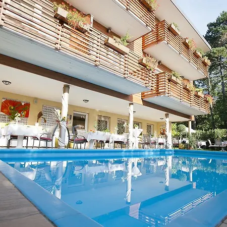 Hotel Aster-2