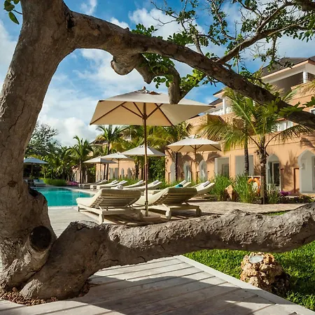 Medina Palms-2