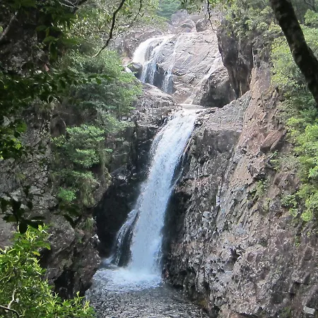 Yakushima Iwasaki Hotel-3