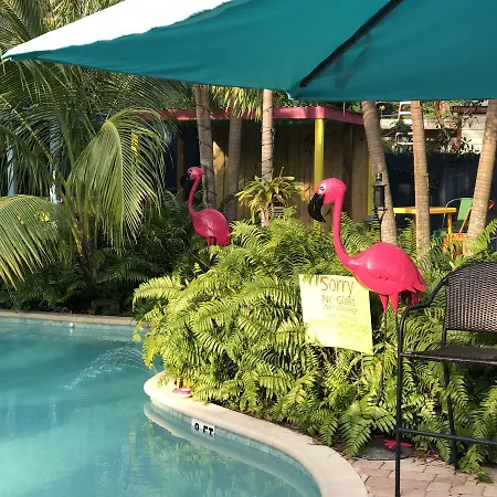 Calypso Inn Wilton Gay Male Resort-3