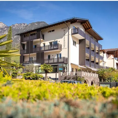 Hotel Winzerhof-3
