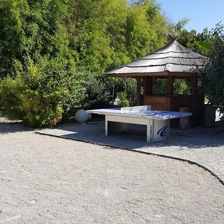 Au Faisan Doré-3