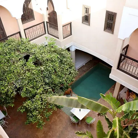 Riad l'Oiseau du Paradis-3