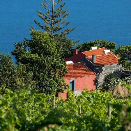 Quinta Das Vinhas-3