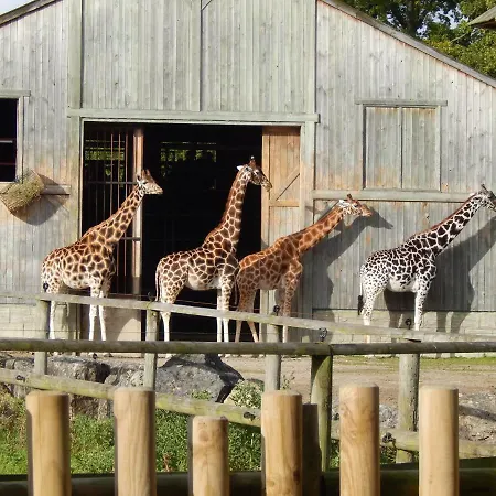 Flamingo Land - Woodlands W42-2