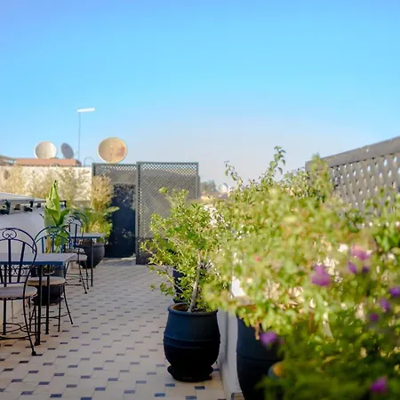 Riad Amina-3