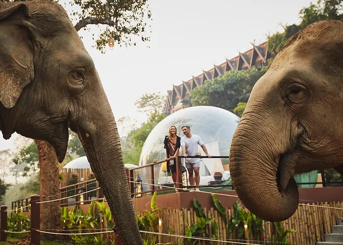 Anantara Golden Triangle Elephant Camp & Resort