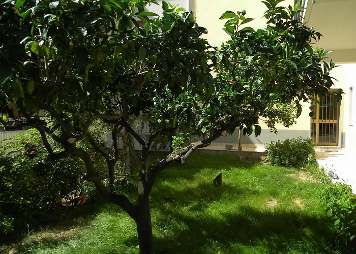 B&B Il Giardino Diamante