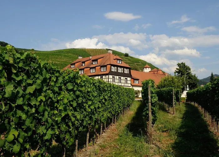 Hotel Residenz Im Schloss Neuweier
