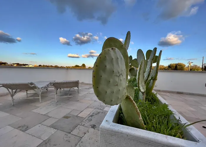 Tenuta Ermes Ostuni