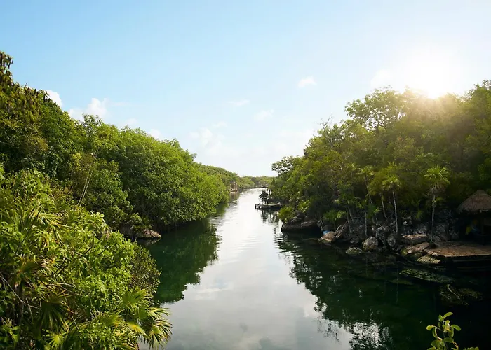 Hotel Xcaret Arte - All Parks All Fun Inclusive - Adults Only Xcaret Park